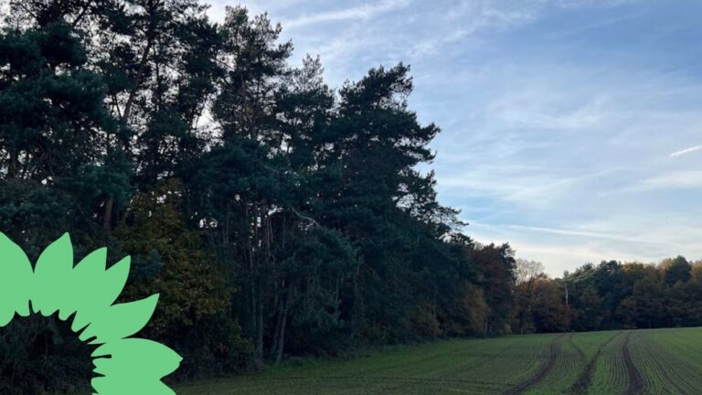 Grüne Saarpfalz empört über geplanten Waldverkauf der evangelischen Kirche in Bexbach